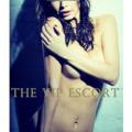 High Class Frankfurt Escorts Agency escort escort-agenturen