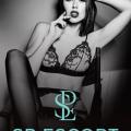 SP Escort Agentur Frankfurt escort escort-agenturen